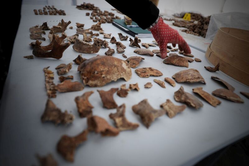 Prace Instytutu Pamięci Narodowej we Lwowie-Zboiskach na Ukrainie – 4–30 sierpnia 2025. Fot. BPiI IPN