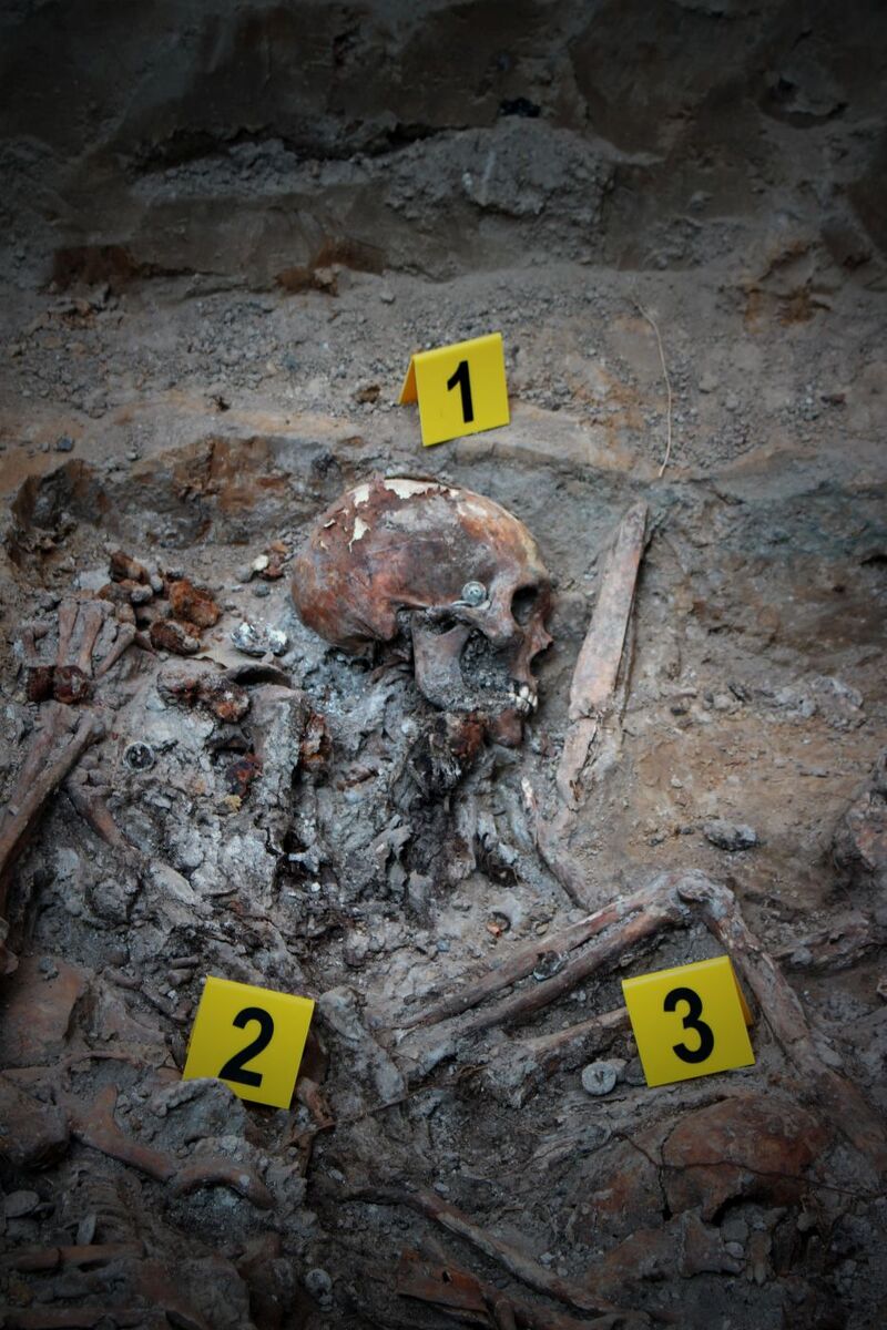 Prace Instytutu Pamięci Narodowej we Lwowie-Zboiskach na Ukrainie – 4–30 sierpnia 2025. Fot. BPiI IPN