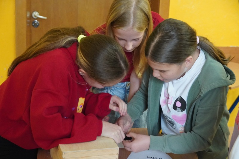 Historia Misia Wojtka w PSP nr 24 w Opolu!